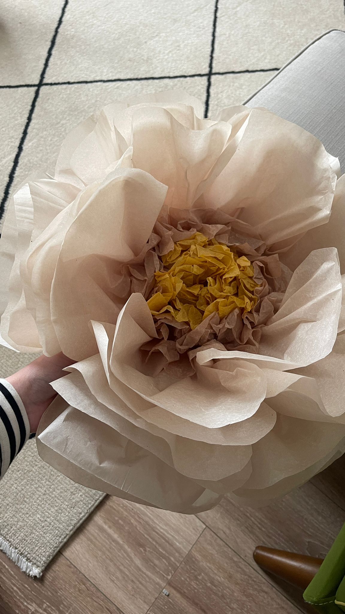 Beige Hand-Dyed Giant Tissue Paper Flower Backdrop Decoration