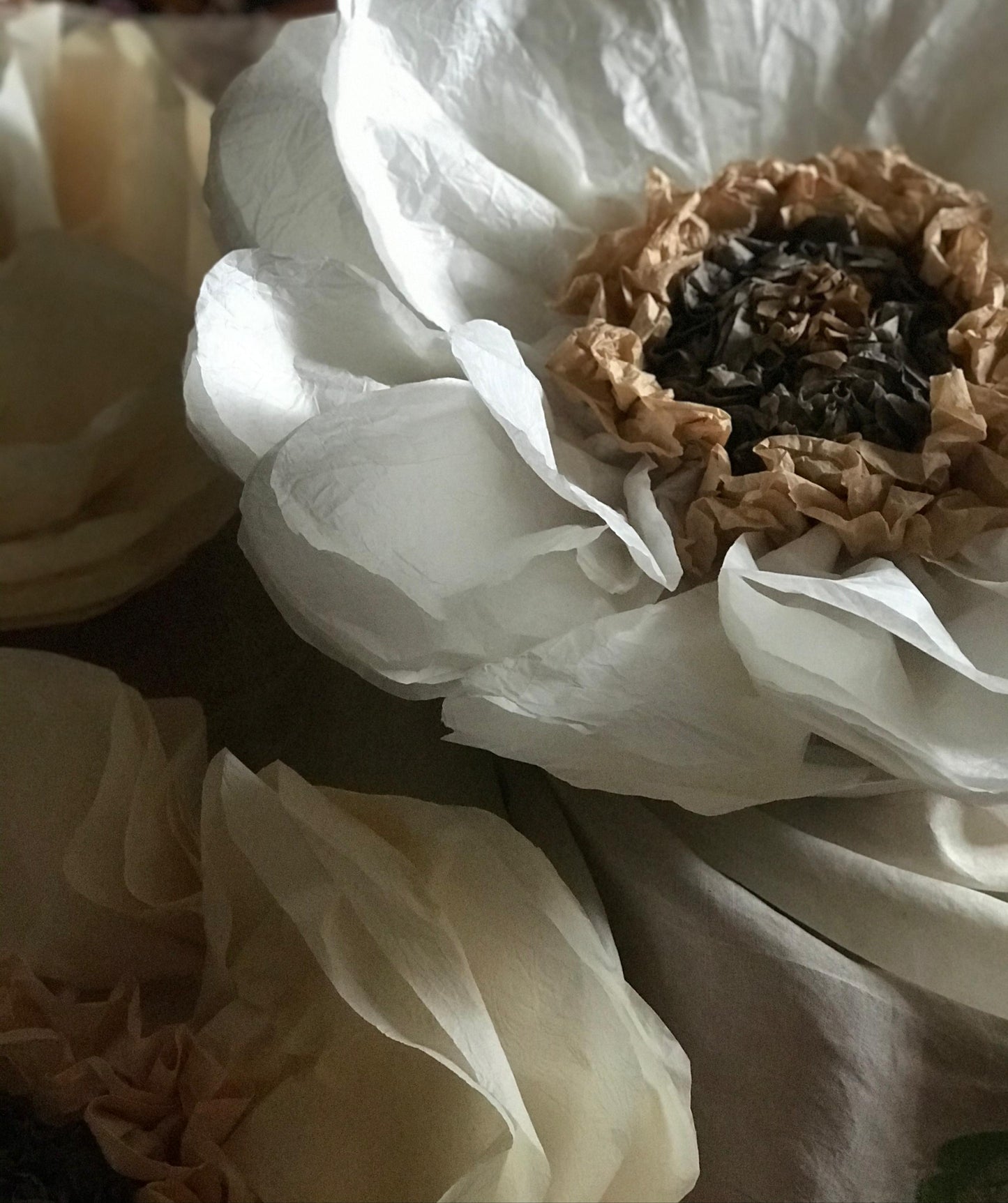 Dove Hand-Dyed Giant Tissue Paper Flower Backdrop Decoration