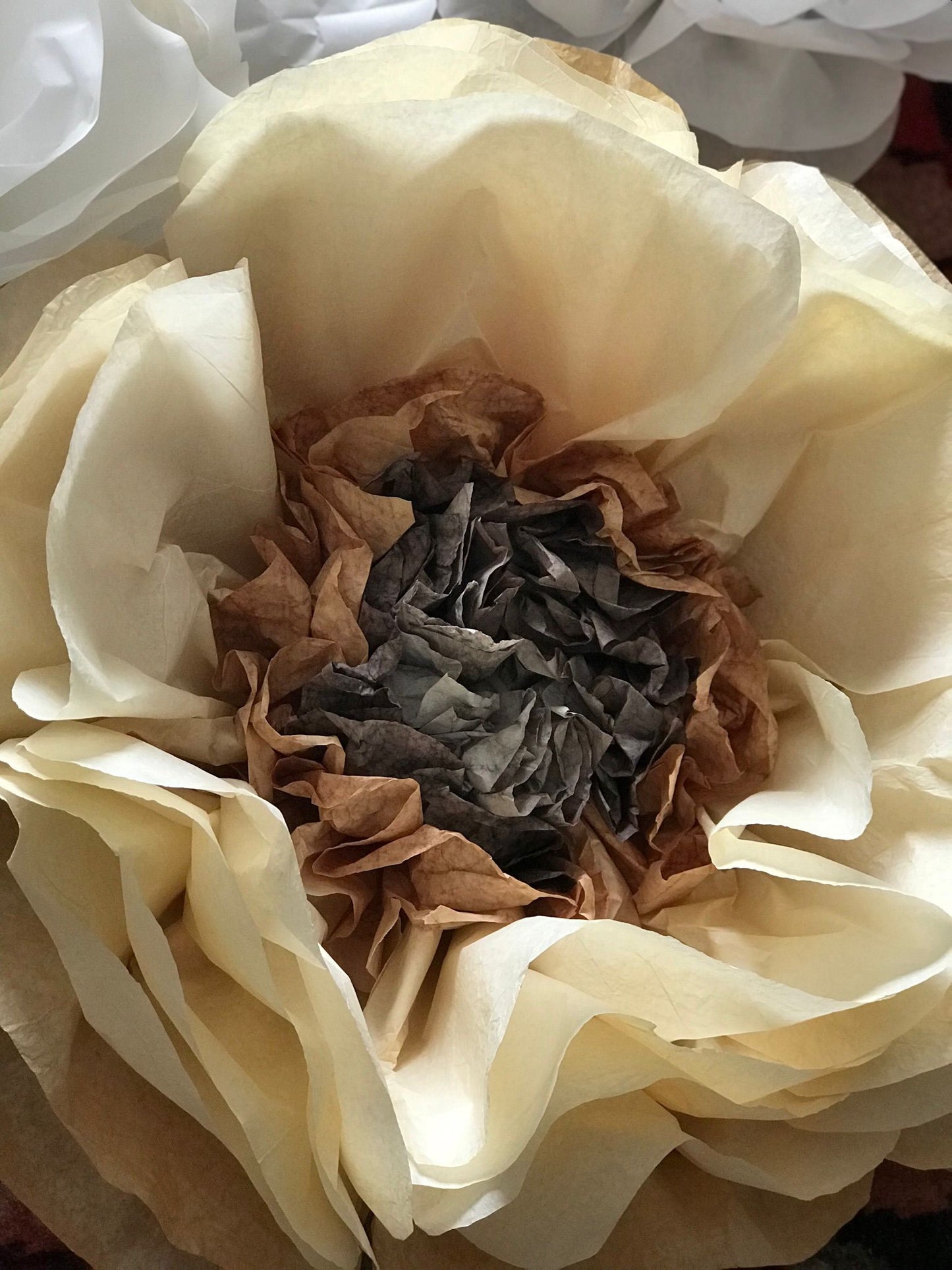 Dove Hand-Dyed Giant Tissue Paper Flower Backdrop Decoration