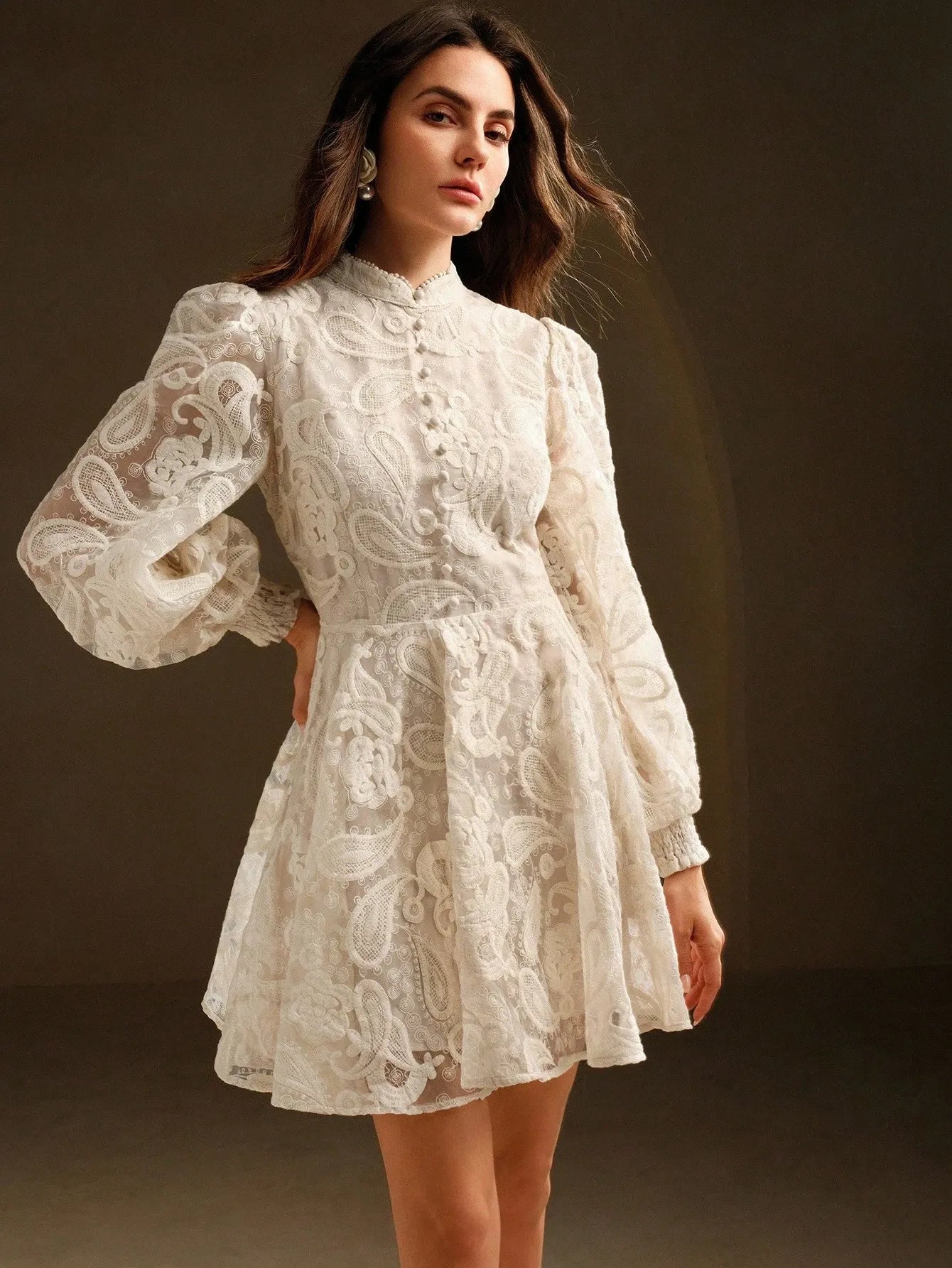 Stand‑Collar Mesh Embroidered Lantern‑Sleeve Dress – White